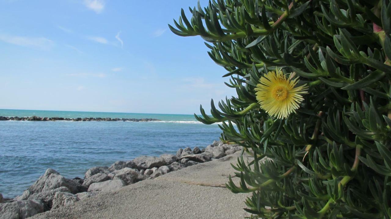 Sapori Di Mare Apartment Trappeto  Luaran gambar